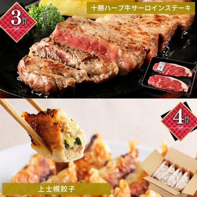 かみしほろ特選 6ヵ月 定期便 Aコース 6回定期便 乳製品 パン ステーキ アイス ハンバーグ等