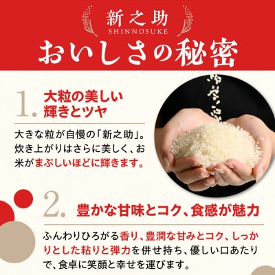 新潟県上越妙高産 新之助 2kg【順次発送】