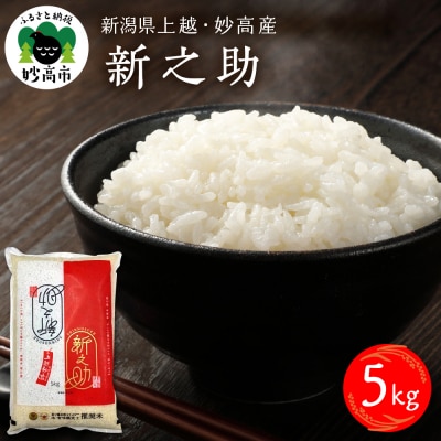 新潟県上越妙高産 新之助 5kg【順次発送】