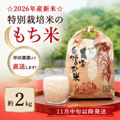 【11月中旬以降発送】☆2026年産新米☆特別栽培米のもち米約2kg　
