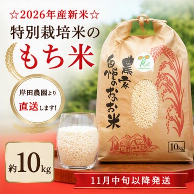 【11月中旬以降発送】☆2026年産新米☆特別栽培米のもち米約10kg　