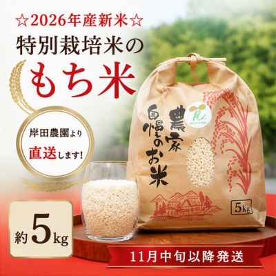 【11月中旬以降発送】☆2026年産新米☆特別栽培米のもち米約5kg　
