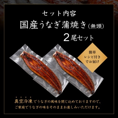 【不揃い訳あり】うなぎの蒲焼き2尾セット.AD308