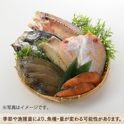 進藤商店一夜干しセット.AD277