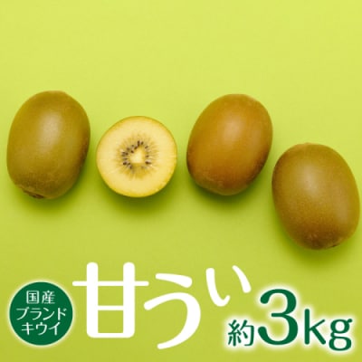 直送.人気の新ブランドキウイフルーツ(甘うぃ)約3kg/2026年11月配送【甘うぃ】.AD305