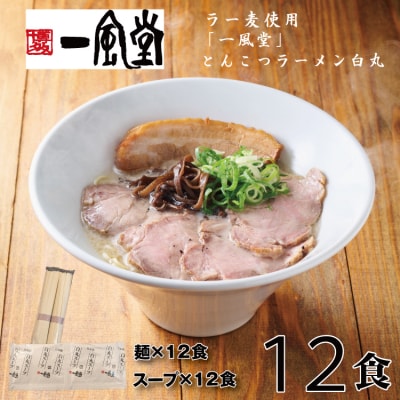 一風堂白丸ラー麦麺セット・12食【豚骨ラーメン】.AD298