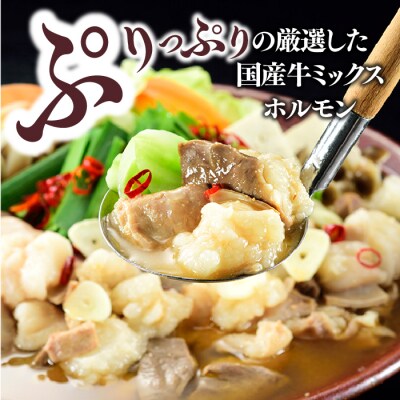 工場直販.得用もつ鍋(白みそ)8～10人前【もつ鍋・味噌味】.AC505