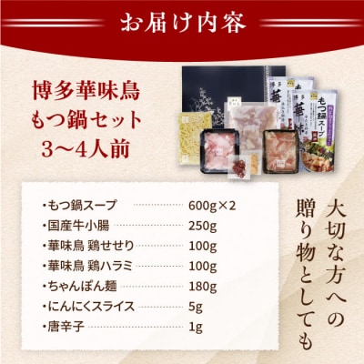 博多華味鳥 水炊き&もつ鍋セット 各3-4人前 鶏肉 人気 はなみどり [AIB005]