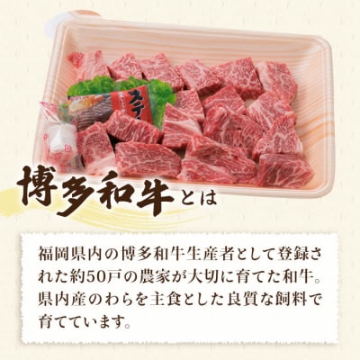 A4ランク博多和牛ヒレ肉サイコロステーキ300g/生ハンバーグ130g×3個[ACA052]