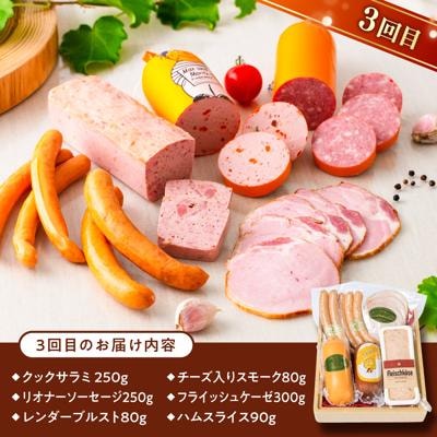 【全3回定期便】バラエティ定期便(ウインナー/ハム/生ウインナー/生ハム)豚肉[AAC009]