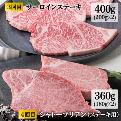 【全6回定期便】 糸島黒毛和牛 食べ比べセット ヒレ 焼肉 2人前 約3kg [ACA110]