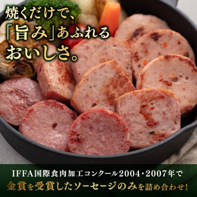 金賞受賞セット 5種 詰め合わせ 豚肉 本格ハム/ソーセージ/ウインナー[AAC003]