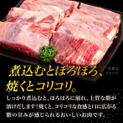 【A4ランク糸島和牛】希少部位 カッパスジ 800g 牛肉 牛すじ 糸島市[ACA375]