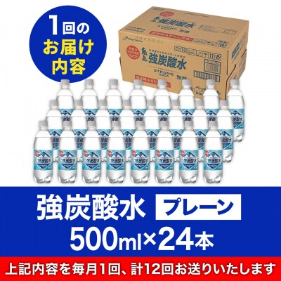 【全12回定期便】強炭酸水プレーン 500ml×24本 糸島市/スターナイン[ARM011]