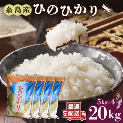 【スピード発送】糸島産 ひのひかり 米 20kg 九州 福岡 糸島市/三島商店[AIM075]