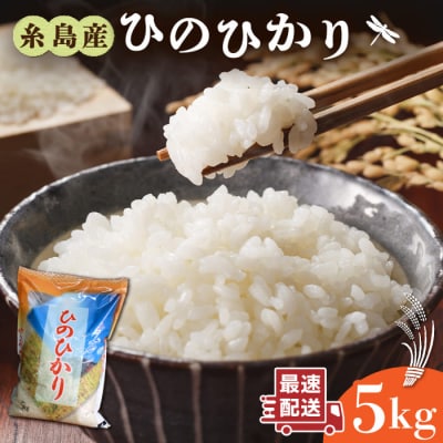 【スピード発送】糸島産 ひのひかり 米 5kg 九州 福岡 糸島市/三島商店[AIM003]