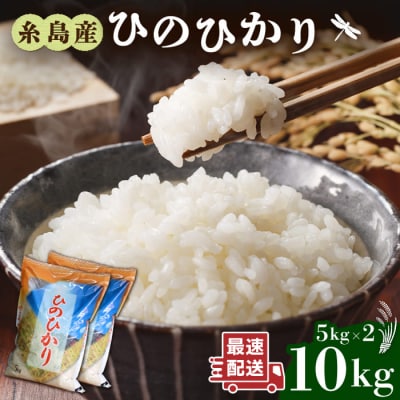 【スピード発送】糸島産 ひのひかり 米 10kg 九州 福岡 糸島市/三島商店[AIM004]