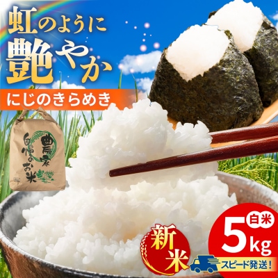 にじのきらめき 白米 精米 5kg 糸島市産 糸島市 / 糸島の恵み コメ ご飯 [AGR004]