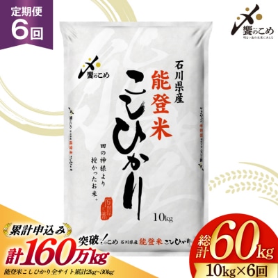 米 定期便 能登米 こしひかり 10kg 6回 総計60kg 令和8年産 新米 [38601407]