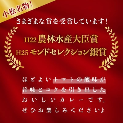 おいしいトマトで作ったカレー 5箱セット レトルトカレー トマトカレー