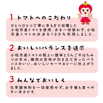 おいしいトマトで作ったカレー 5箱セット レトルトカレー トマトカレー