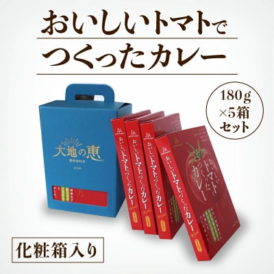 おいしいトマトで作ったカレー 5箱セット レトルトカレー トマトカレー