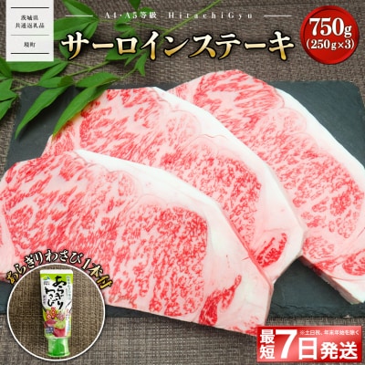 <最短7日発送> 常陸牛A5 サーロインステーキ750g あらぎりわさび1本付 〈茨城県共通返礼品〉