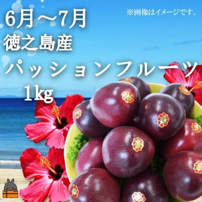 フルーツアイランド徳之島 季節のフルーツ定期便 ( マンゴー たんかん パッション )