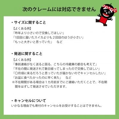 でんすけすいか優品　2026年6月下旬～8月中旬発送分【A-038】