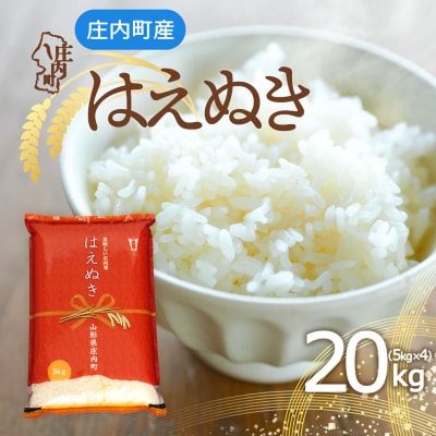 庄内町産 はえぬき 20kg 5kg×4袋 令和8年産 2026年産 ブランド米