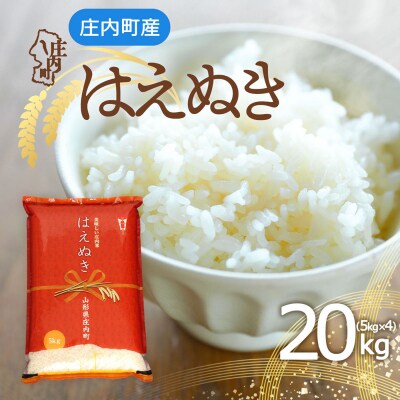 庄内町産 はえぬき 20kg 5kg×4袋 令和8年産 2026年産 ブランド米