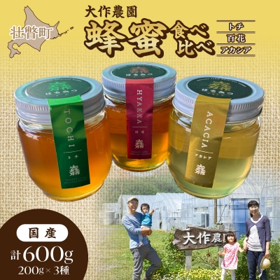 大作農園の蜂蜜3種(アカシア・トチ・百花)200g×3種　計600g【非加熱・無濾過】SBTR016