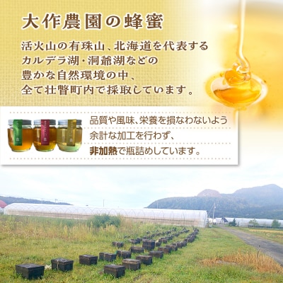 大作農園の蜂蜜3種(アカシア・トチ・百花)200g×3種　計600g【非加熱・無濾過】SBTR016