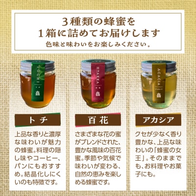 大作農園の蜂蜜3種(アカシア・トチ・百花)200g×3種　計600g【非加熱・無濾過】SBTR016