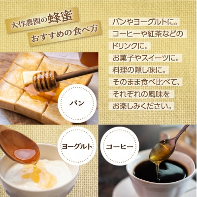 大作農園の蜂蜜3種(アカシア・トチ・百花)200g×3種　計600g【非加熱・無濾過】SBTR016