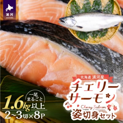 漁吉丸の船上活〆チェリーサーモン姿切身 甘塩仕立て(1.6kg以上)[15-1403]