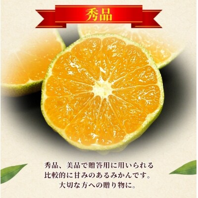 <愛媛産 秀品 極早生みかん(SまたはMサイズ)約5kg>　 蜜柑 ミカン みかん 温州みかん