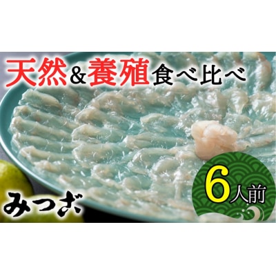 【年末配送】贅沢な食べ比べ!みつごの天然&養殖とらふぐセット(計6人前)[冷蔵]