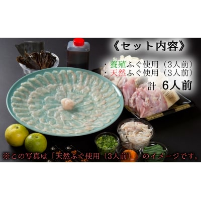 【年末配送】贅沢な食べ比べ!みつごの天然&養殖とらふぐセット(計6人前)[冷蔵]