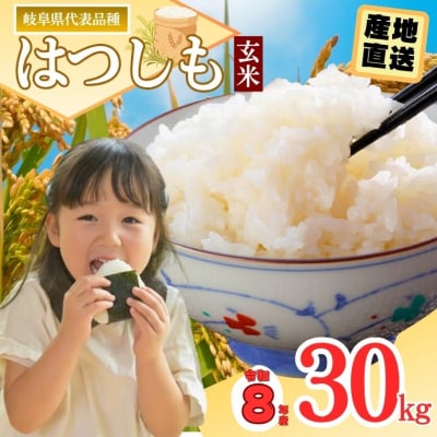 令和8年産 ハツシモ【玄米】30kg 数量限定 L6
