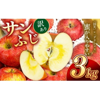 信州のりんご　サンふじ　訳あり　3キロ