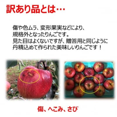 信州のりんご　サンふじ　訳あり　3キロ