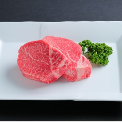 飛騨牛ヒレ　ステーキ用　200g×2枚