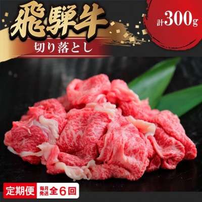 【毎月定期便】飛騨牛切り落とし 300g全6回