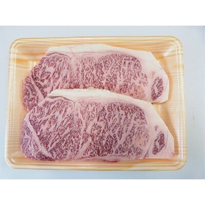 A5等級飛騨牛サーロインステーキ用約500g(1枚約250g×2枚)
