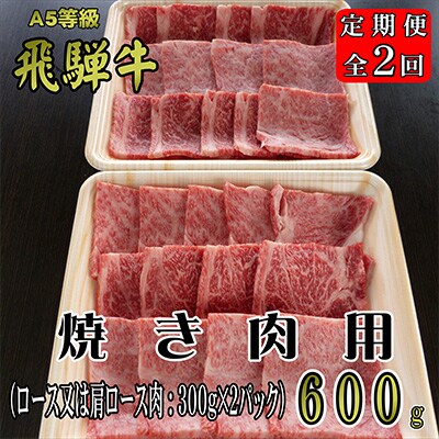 2023年3月発送開始『定期便』A5等級飛騨牛焼き肉用600g全2回