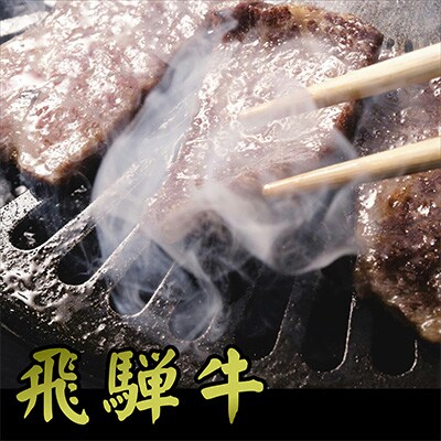 2023年3月発送開始『定期便』A5等級飛騨牛焼き肉用600g全2回