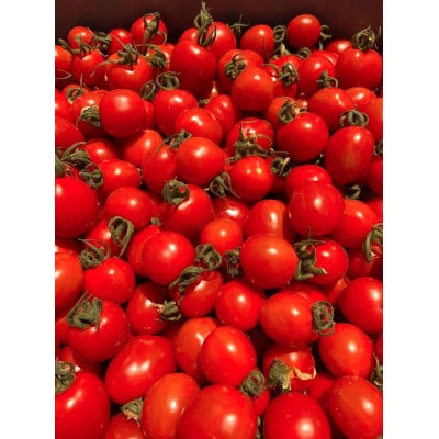 糖度10度以上「ほれトマト」　1kg