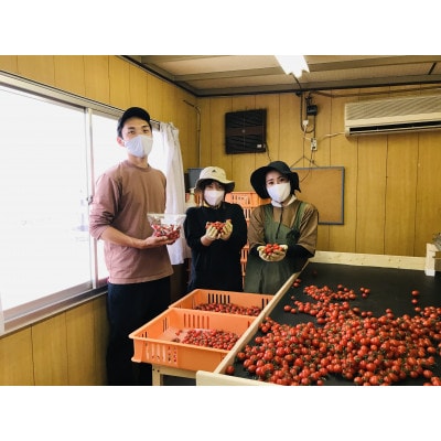 糖度10度以上の「ほれトマト」　2kg