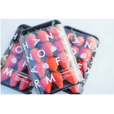 「はなのかファーム」自慢の甘い採れたていちご3パック　食べ比べセット